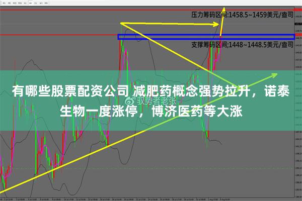 有哪些股票配资公司 减肥药概念强势拉升，诺泰生物一度涨停，博济医药等大涨