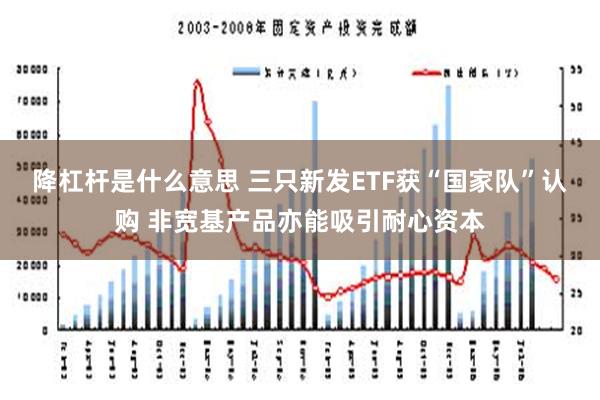 降杠杆是什么意思 三只新发ETF获“国家队”认购 非宽基产品亦能吸引耐心资本