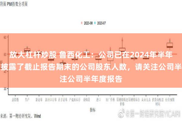 放大杠杆炒股 鲁西化工：公司已在2024年半年度报告中披露了截止报告期末的公司股东人数，请关注公司半年度报告