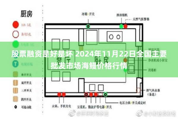 股票融资是好是坏 2024年11月22日全国主要批发市场海鳗价格行情