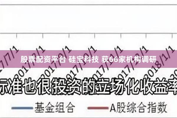 股票配资平台 硅宝科技 获66家机构调研