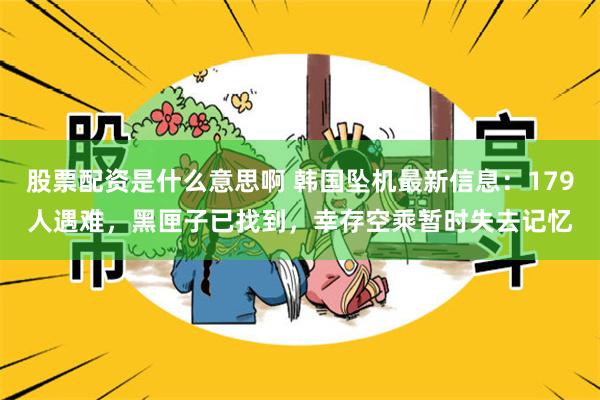 股票配资是什么意思啊 韩国坠机最新信息：179人遇难，黑匣子已找到，幸存空乘暂时失去记忆